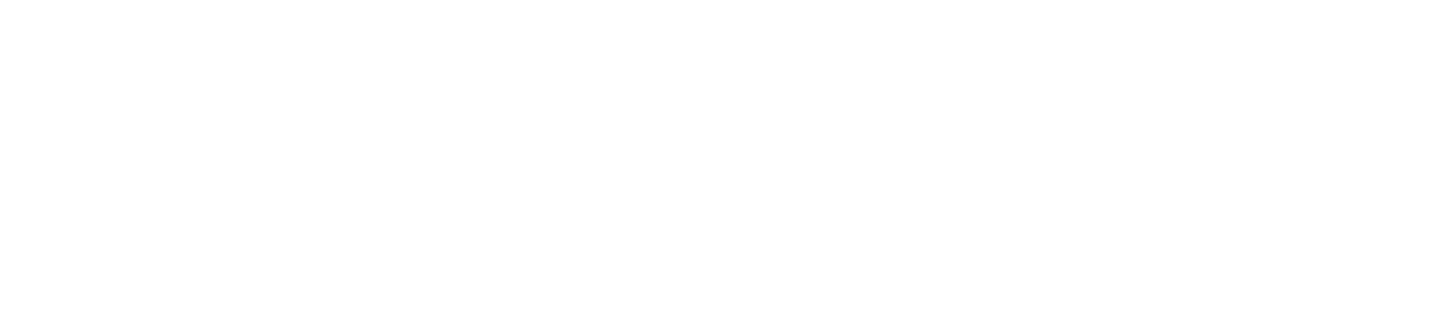 Acupunctuur Leudal